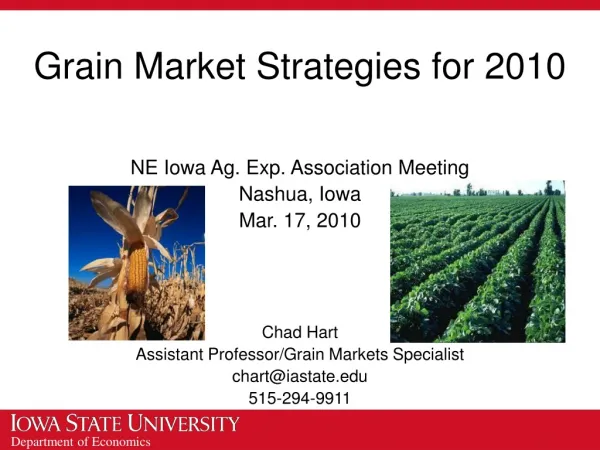 Grain Market Strategies for 2010