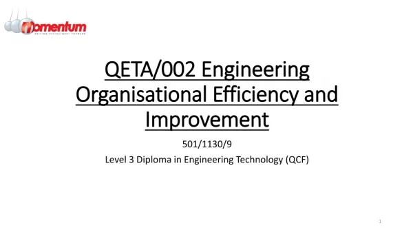 QETA/002 Engineering Organisational Efficiency and Improvement