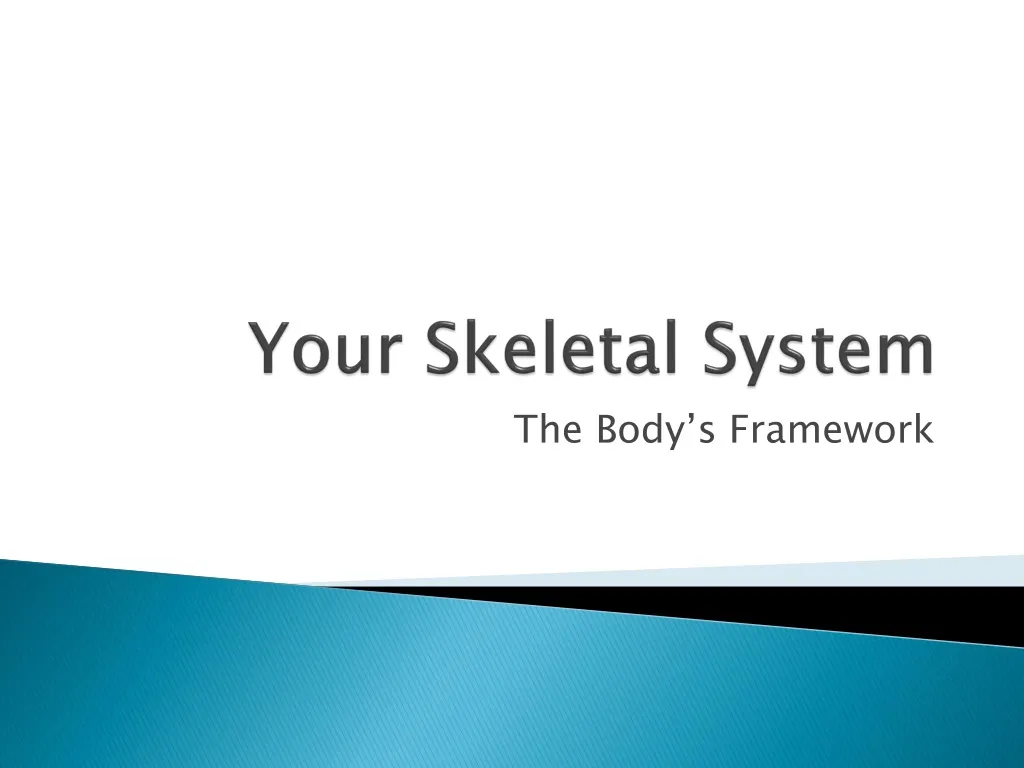 your skeletal system