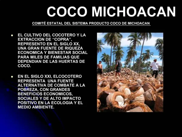 COCO MICHOACAN COMIT ESTATAL DEL SISTEMA PRODUCTO COCO DE MICHOACAN