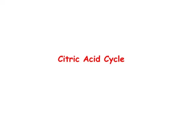 Citric Acid Cycle