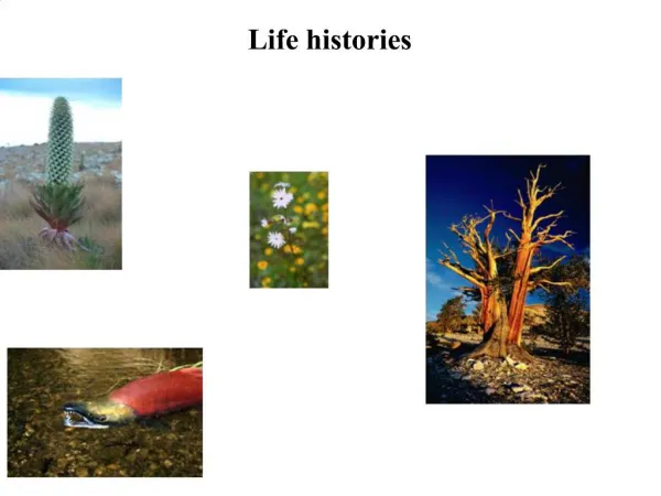 Life histories