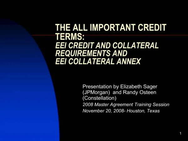 THE ALL IMPORTANT CREDIT TERMS: EEI CREDIT AND COLLATERAL REQUIREMENTS AND EEI COLLATERAL ANNEX