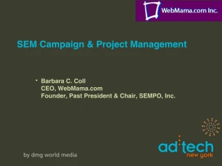 SEM Campaign Project Management - slide 1