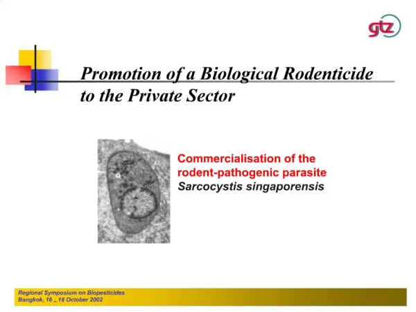 Regional Symposium on Biopesticides Bangkok, 16 18 October 2002