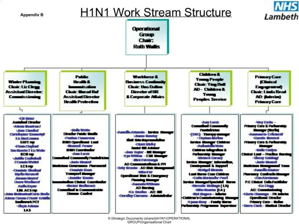 Appendix B H1N1 Work Stream Structure