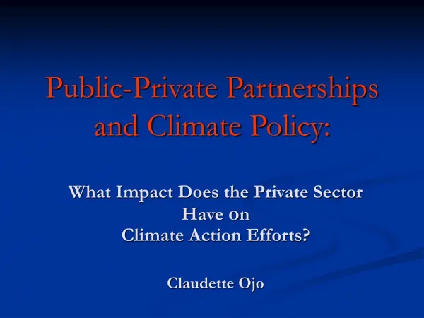 Public-Private Partnerships and Climate Policy:
