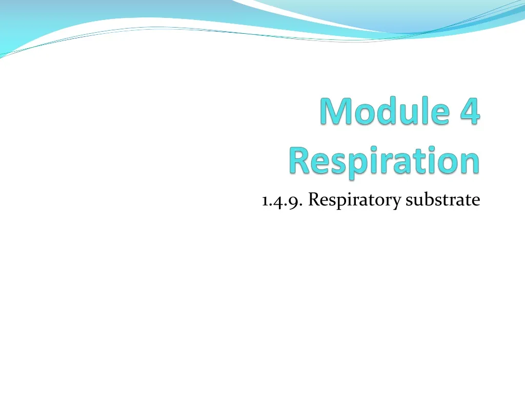 module 4 respiration