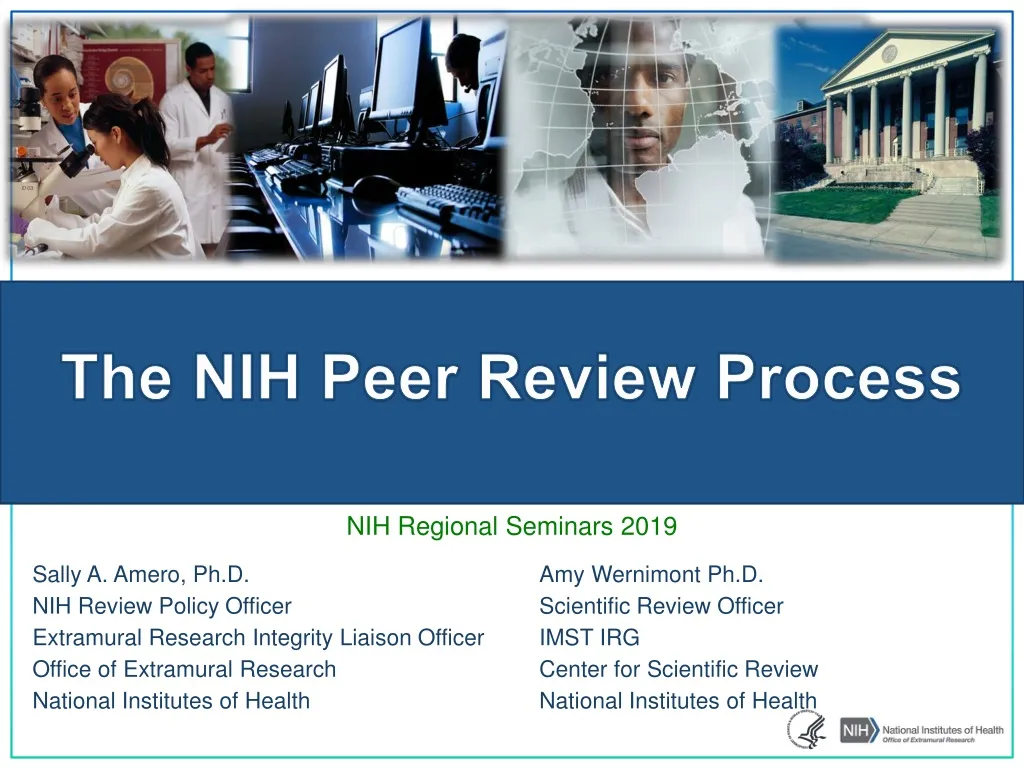 the nih peer review process