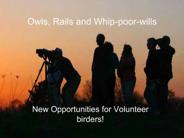 Owls, Rails and Whip-poor-wills