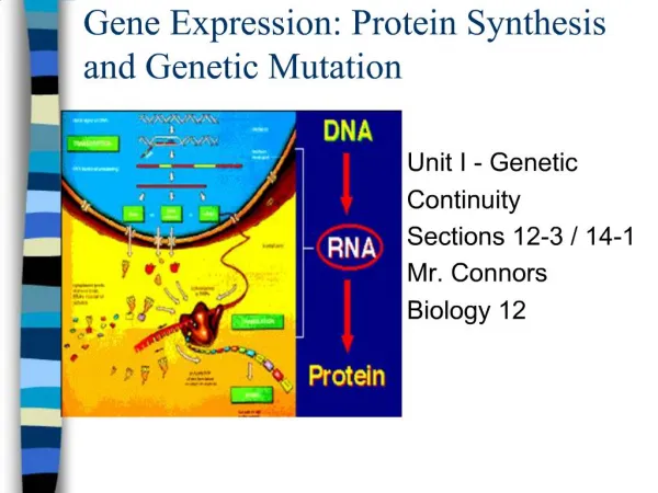 Gene Expression: Protein Synthesis and Genetic Mutation