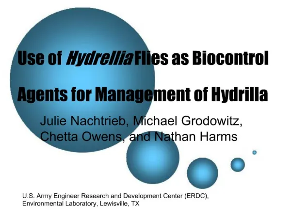 Use of Hydrellia Flies as Biocontrol Agents for Management of Hydrilla
