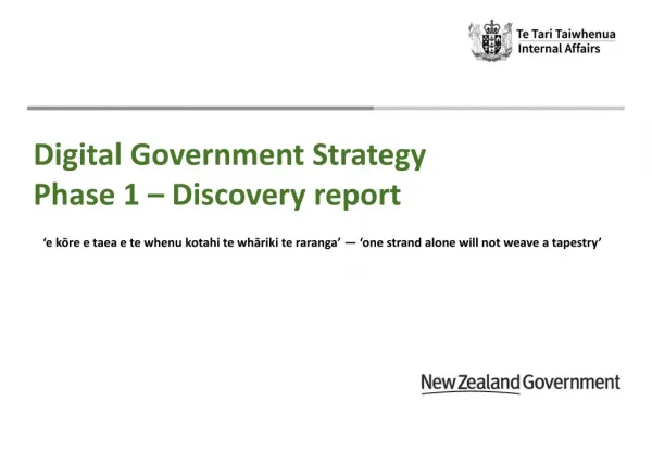 Digital Government Strategy Phase 1 – Discovery report
