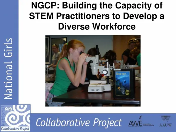 NGCP : Building the Capacity of STEM Practitioners to Develop a Diverse Workforce