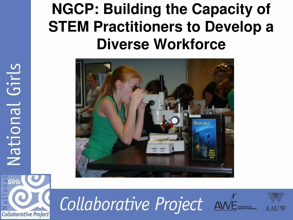 ngcp building the capacity of stem practitioners to develop a diverse workforce
