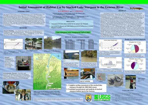 Initial Assessment of Habitat Use by Stocked Lake Sturgeon in the Genesee River