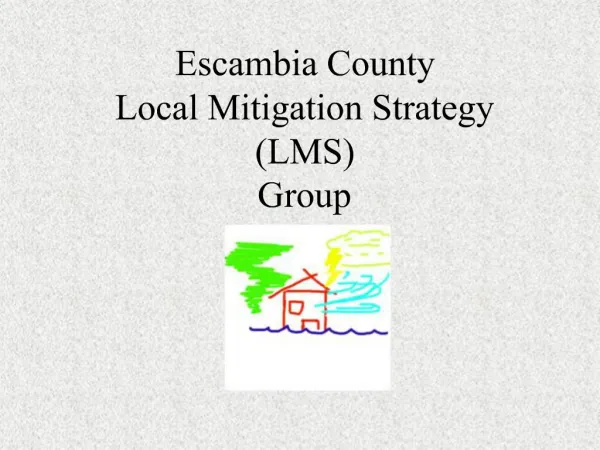 Escambia County Local Mitigation Strategy LMS Group