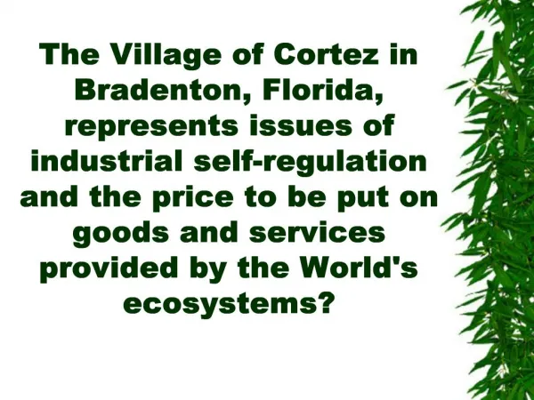 The Village of Cortez in Bradenton, Florida, represents issues of industrial self-regulation and the price to be put on