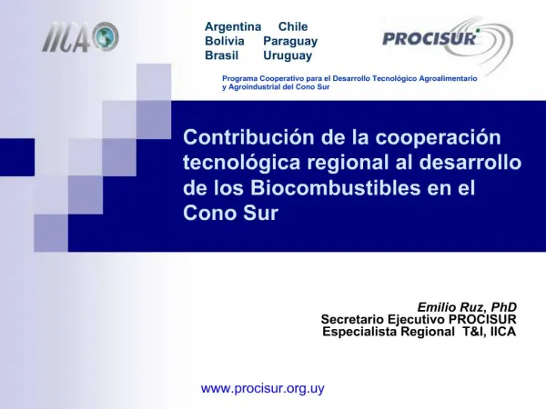 Contribuci n de la cooperaci n tecnol gica regional al desarrollo de los Biocombustibles en el Cono Sur