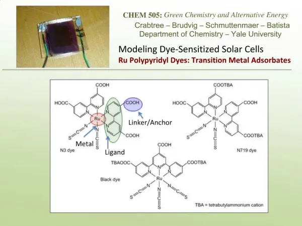 Modeling Dye-Sensitized Solar Cells Ru Polypyridyl Dyes: Transition Metal Adsorbates
