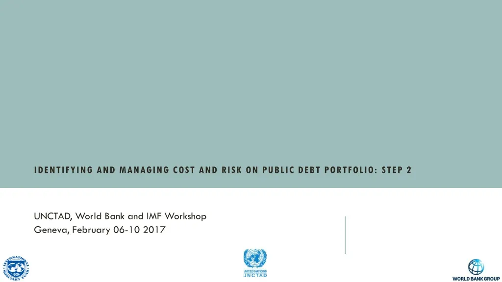identifying and managing cost and risk on public debt portfolio step 2