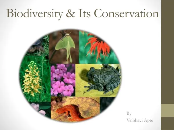 Biodiversity &amp; Its Conservation