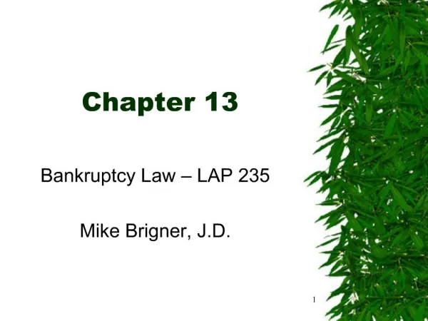 Bankruptcy Law LAP 235 Mike Brigner, J.D.