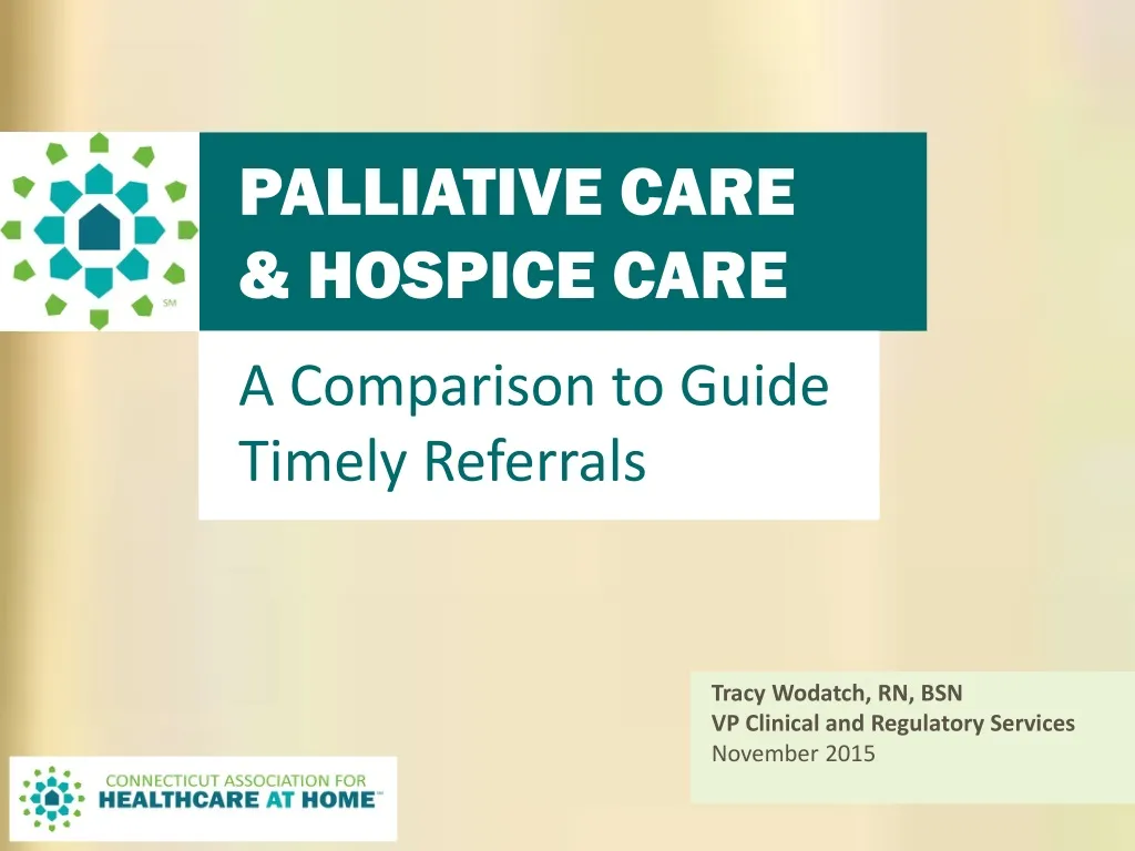 palliative care hospice care