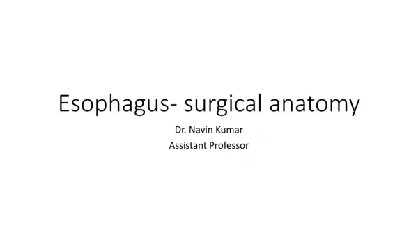 Esophagus - surgical anatomy