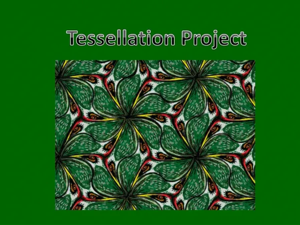 Tessellation Project