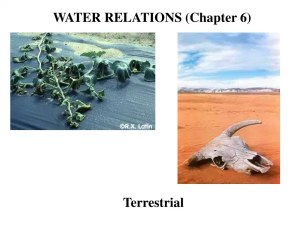 WATER RELATIONS (Chapter 6)