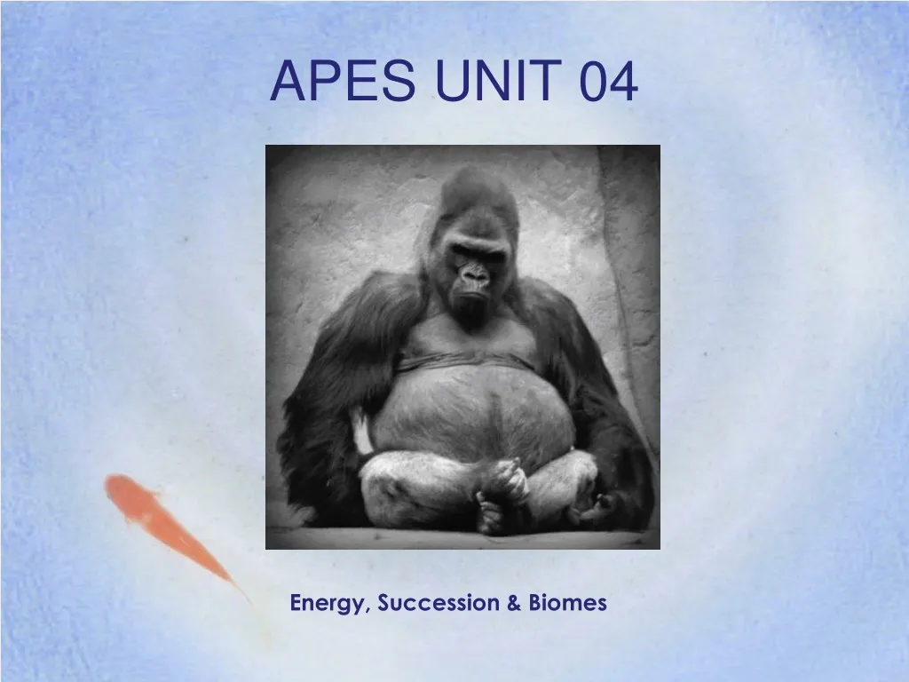 apes unit 04