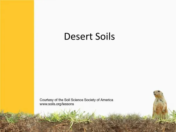 Desert Soils