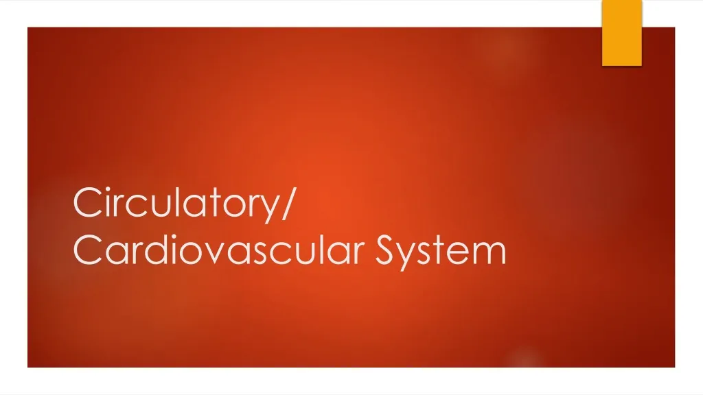 circulatory cardiovascular system