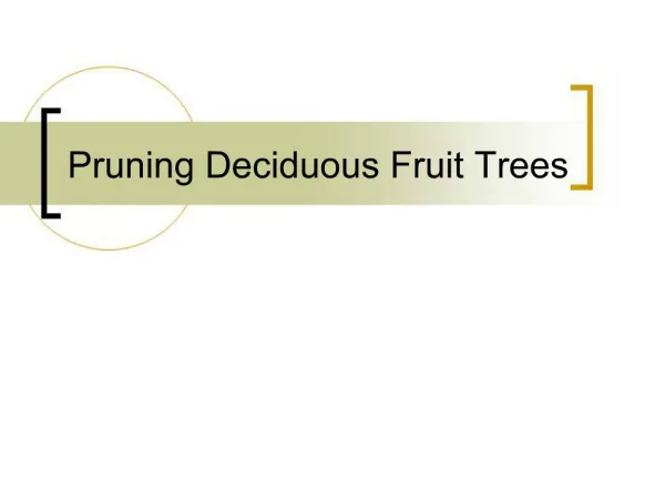 Pruning Deciduous Fruit Trees