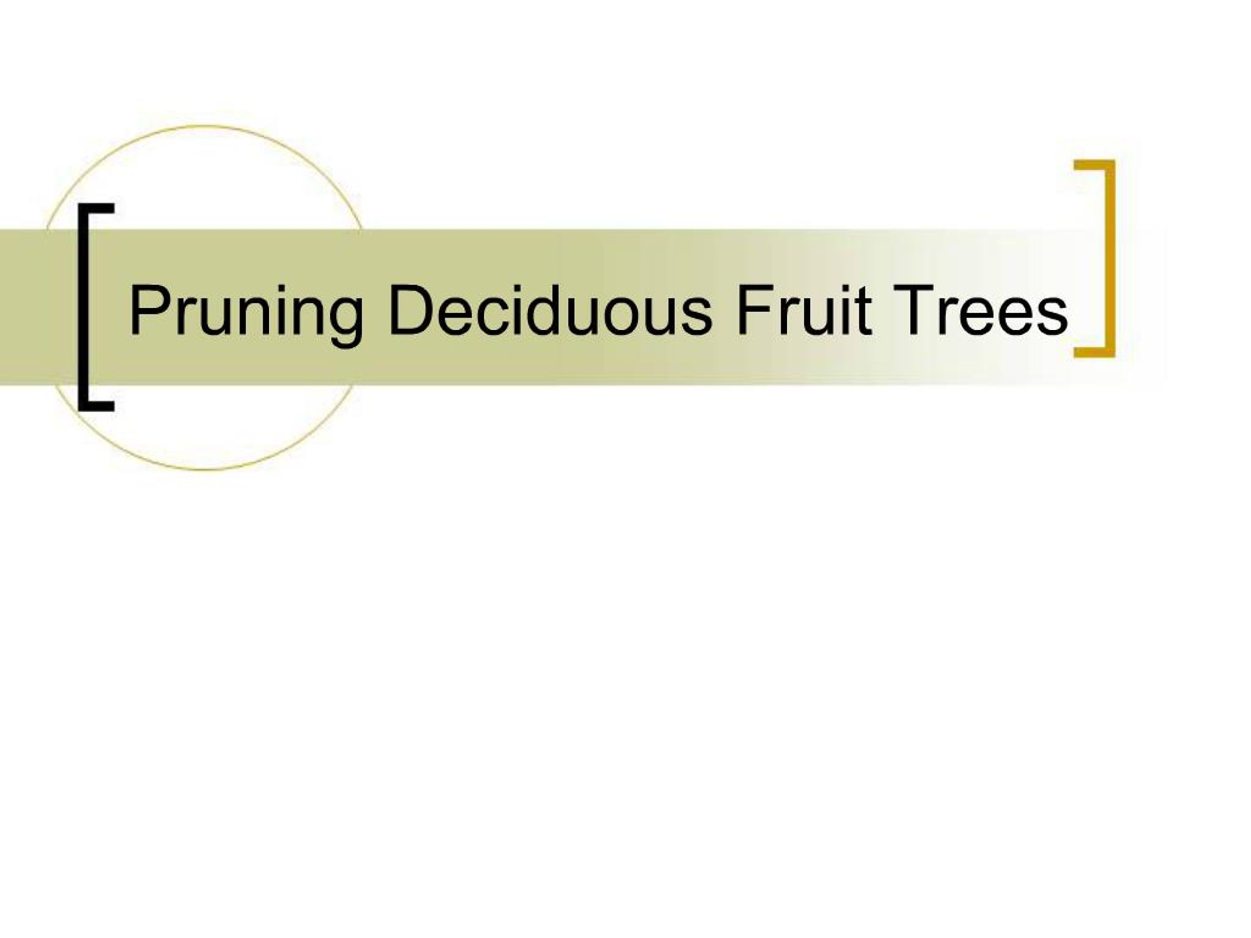 PPT - Pruning Deciduous Fruit Trees PowerPoint Presentation, free ...