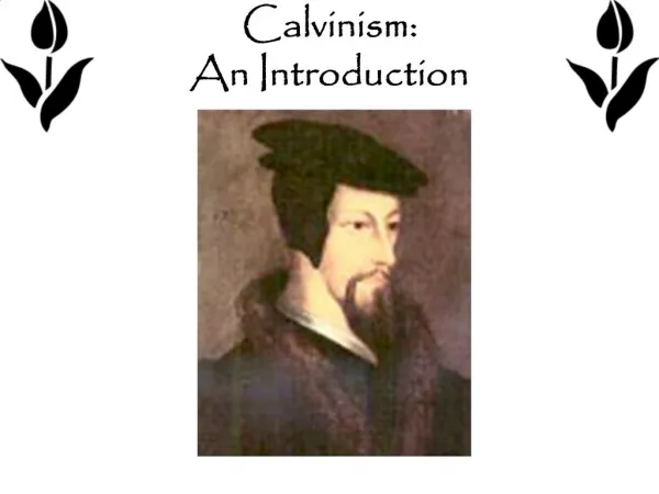 Calvinism: An Introduction
