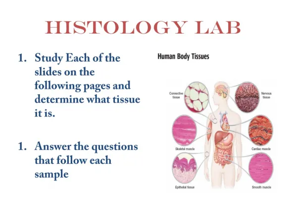 Histology Lab