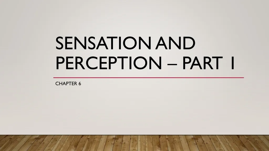 sensation and perception part 1
