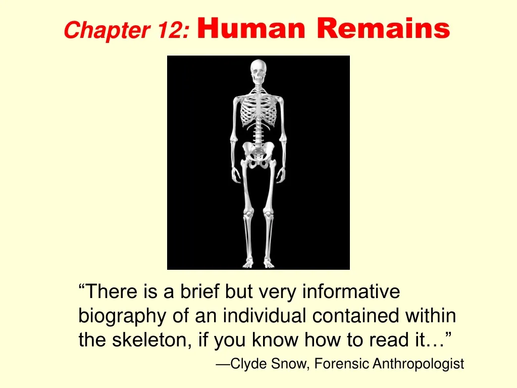chapter 12 human remains