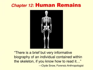 Chapter 12: Human Remains - slide 1