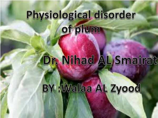 Physiological disorder of plum