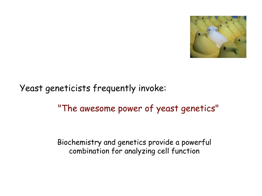 yeast geneticists frequently invoke