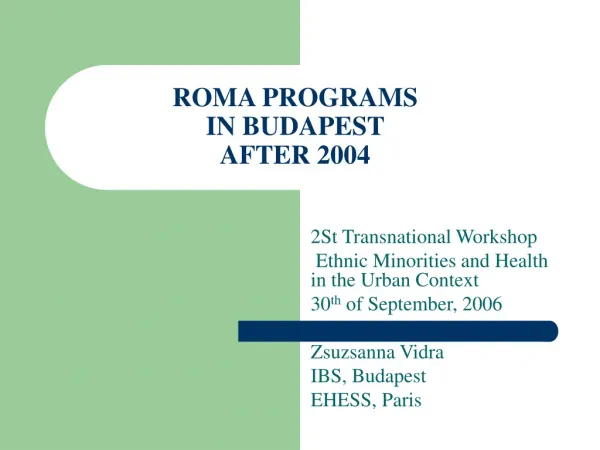 ROMA PROGRAMS IN BUDAPEST AFTER 2004