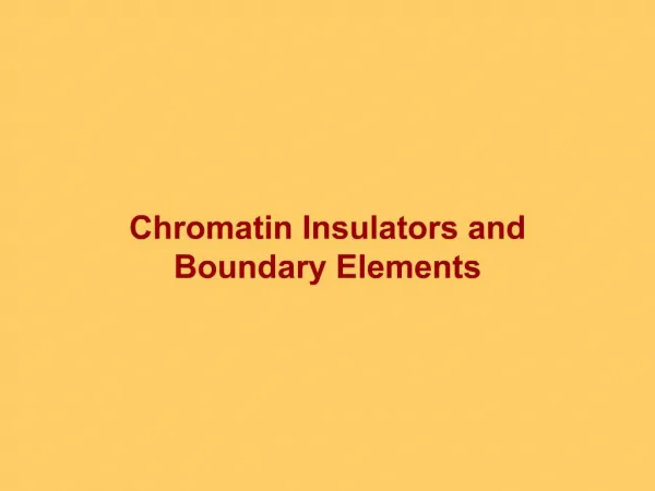 Chromatin Insulators and Boundary Elements
