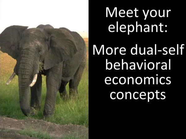Meet your elephant: More dual-self behavioral economics concepts