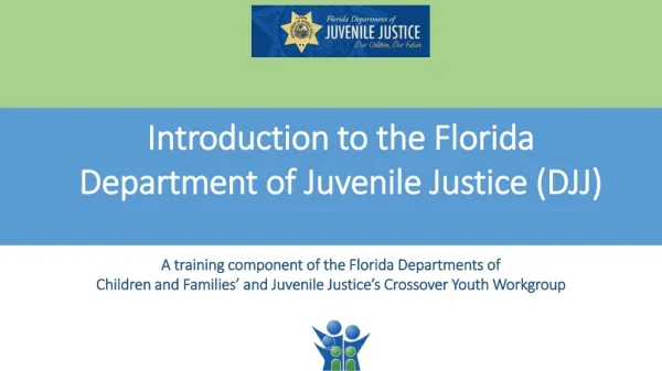Introduction to the Florida Department of Juvenile Justice (DJJ)