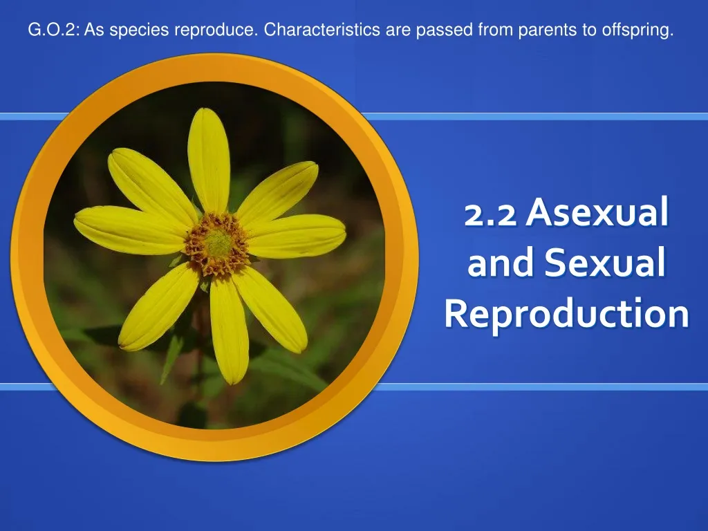 2 2 asexual and sexual reproduction