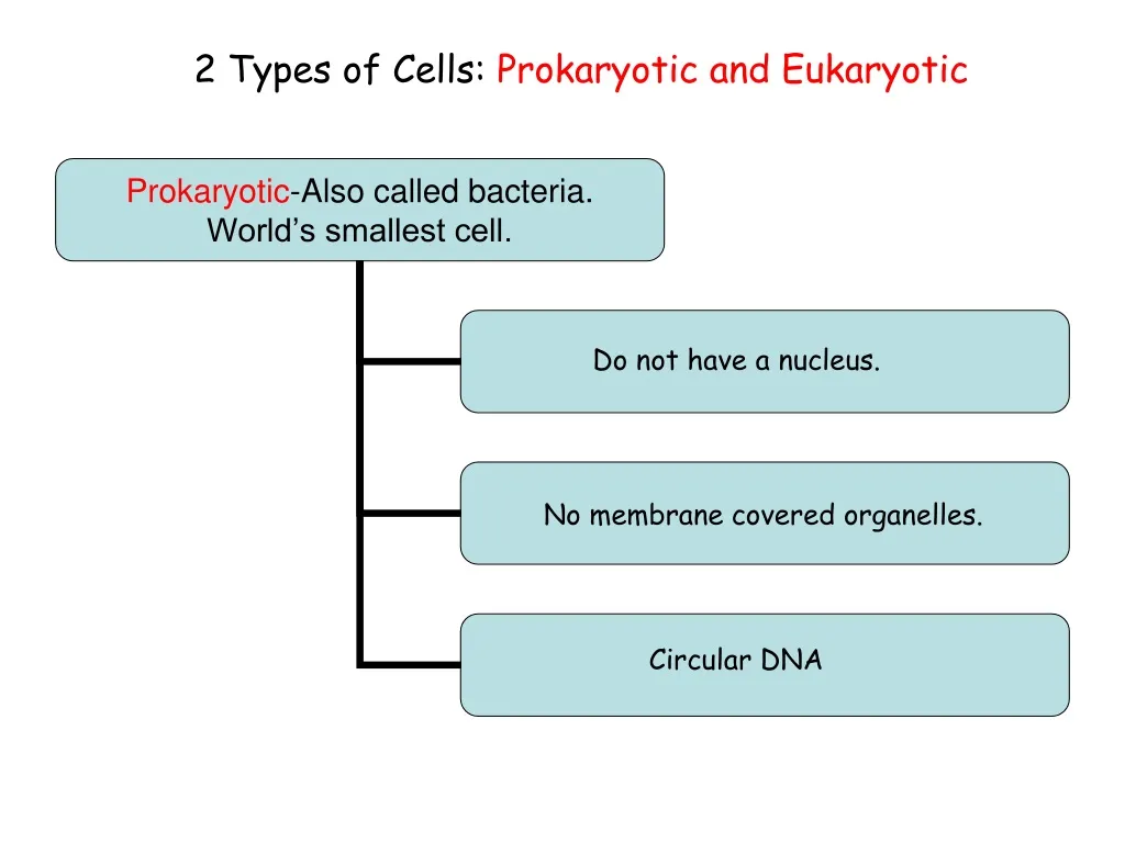 2 types of cells prokaryotic and eukaryotic