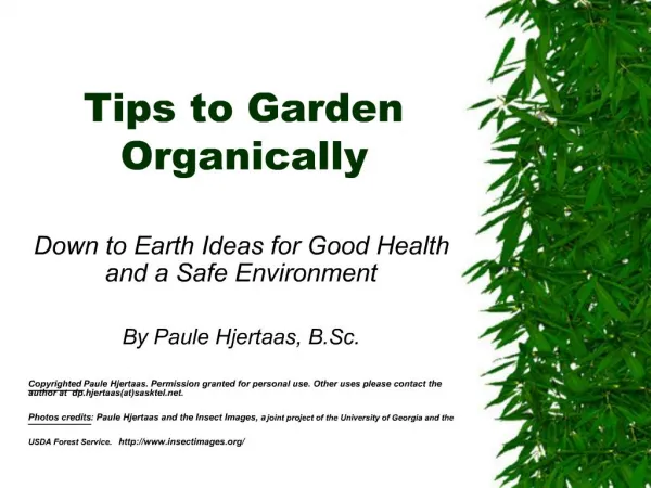 Tips to Garden Organically